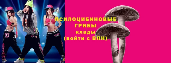мдпв Волоколамск