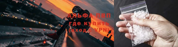 сатива Лабытнанги