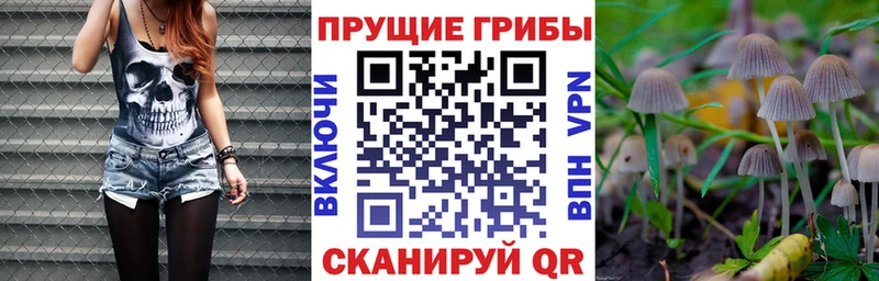 Галлюциногенные грибы Psilocybe  гидра   Меленки 